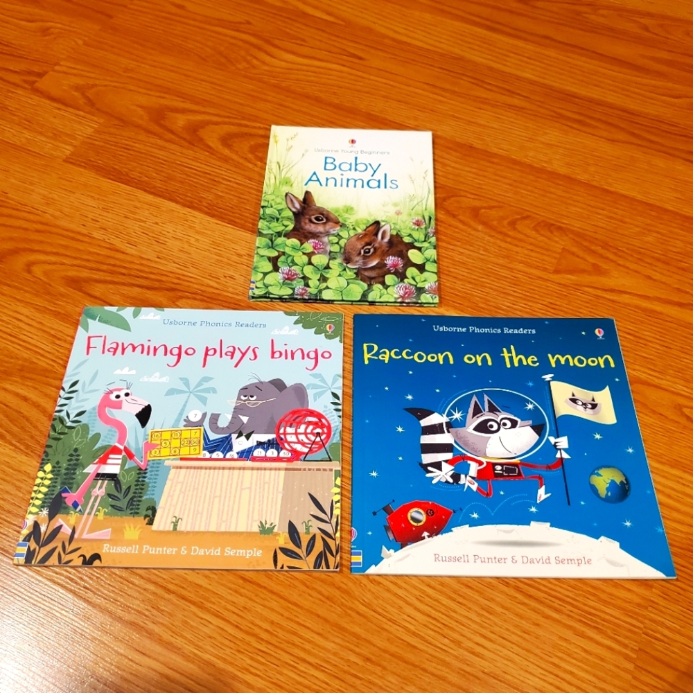 3 Usborne books 🐇🦩🦝